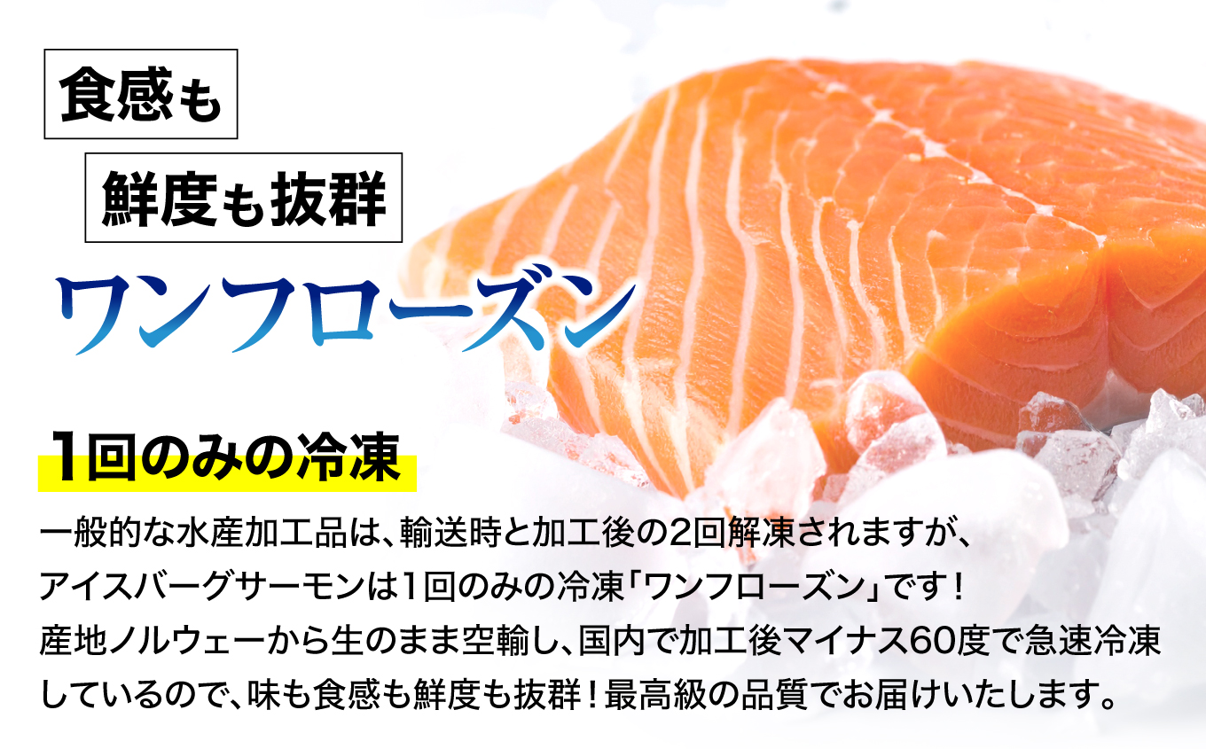 アイスバーグサーモン（アトランティックサーモン）　約1kg（約200g×5袋）| アイスバーグサーモン アトランティックサーモン 産地直送 冷凍 お取り寄せ サーモン 切り身 北欧 ノルウェー オメガ3 高たんぱく 健康志向 | DK006