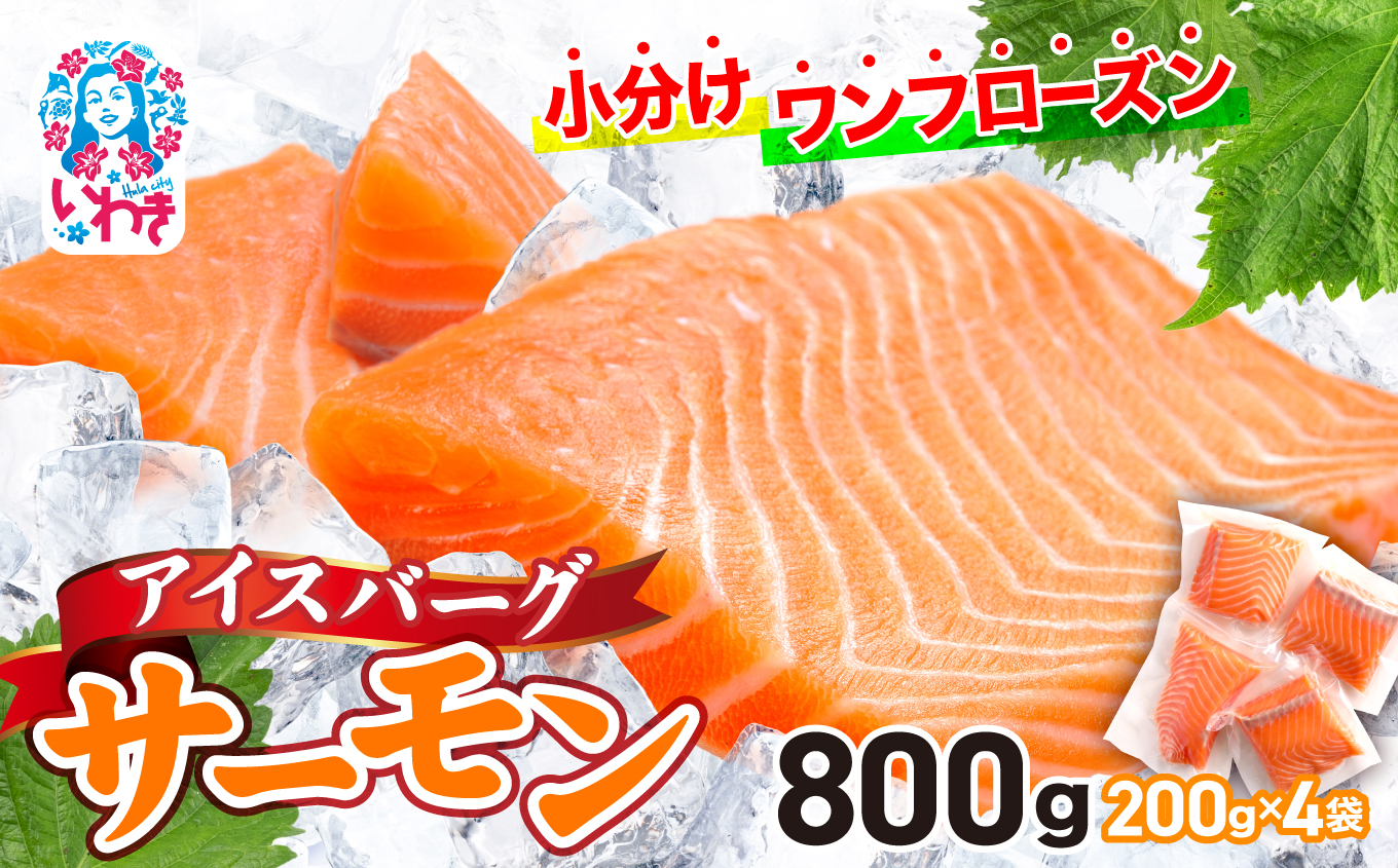 アイスバーグサーモン(アトランティックサーモン) 約800g(約200g×4袋) | サーモン ふるさと納税 サケ さけ しゃけ 刺し身 お刺身 個包装 さかな 魚介類 寿司 【DK006-800g】