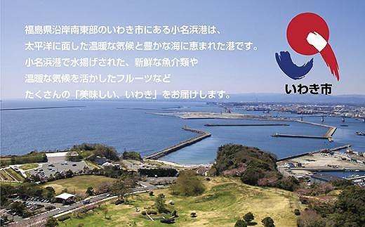 【味付き焼肉セット】＆【新鮮ホルモン】食べ比べ　専門店焼肉セット2〜3人前！とミックスホルモンセット