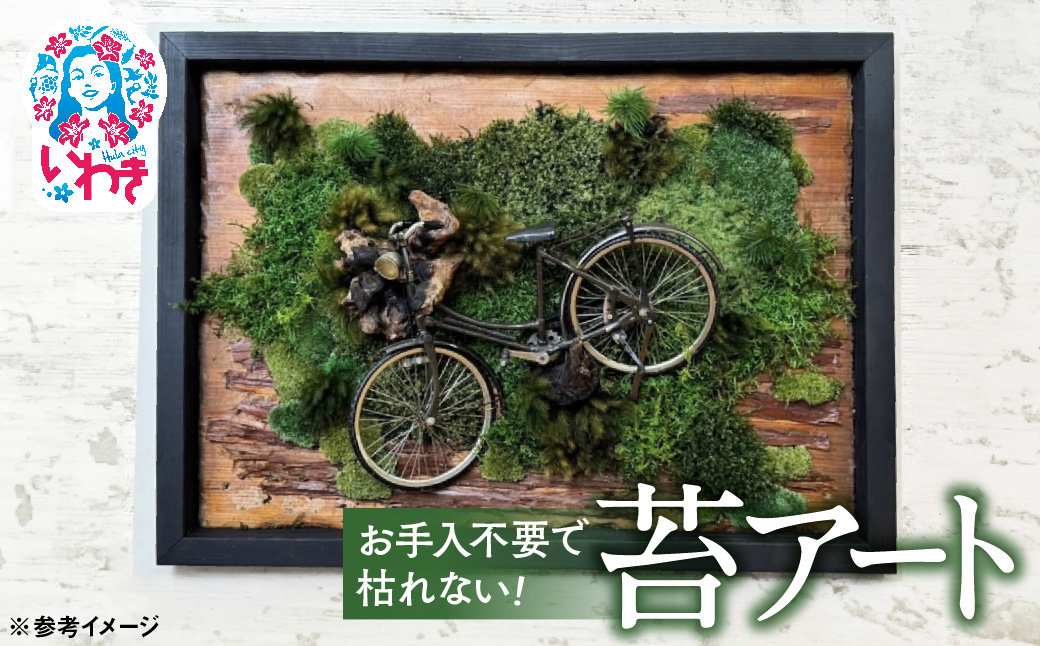 苔アート | 苔 アート インテリア 壁掛け おしゃれ モスアート グリーンアート 室内緑化 癒し 観賞用 手入れ不要 長持ち プリザーブド 新築祝い 開店祝い ギフト プレゼント 人気 送料無料 | DE025