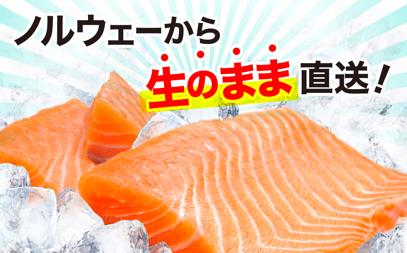 アイスバーグサーモン（アトランティックサーモン）　約1kg（約200g×5袋）| アイスバーグサーモン アトランティックサーモン 産地直送 冷凍 お取り寄せ サーモン 切り身 北欧 ノルウェー オメガ3 高たんぱく 健康志向 | DK006