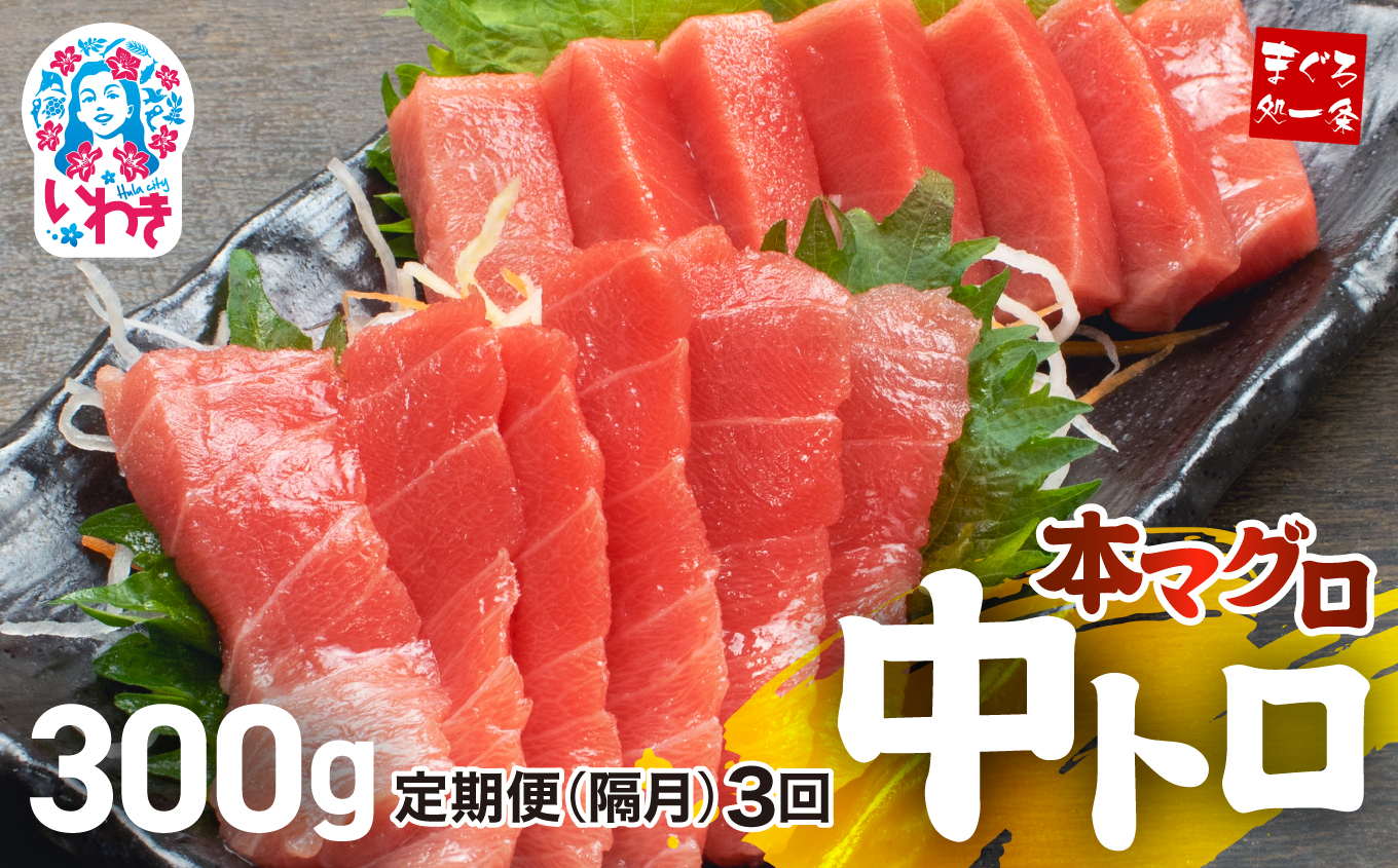 【定期便/隔月/計3回】本マグロ中トロ300g（計900g）【DG005-tk3】|いわき市 ふるさと納税 株式会社東日本貿易 鮪 本鮪 本まぐろ マグロ トロ とろ 刺し身 さしみ さかな 海鮮 寿司 解凍レシピ付