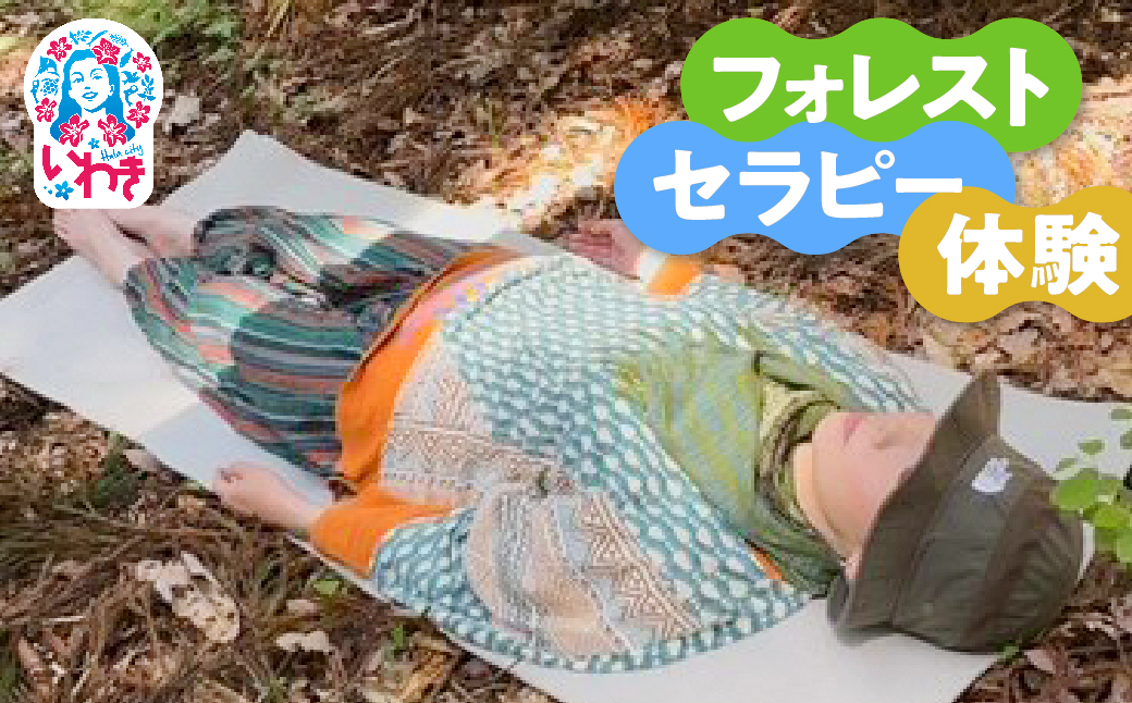 フォレストセラピー体験（森林浴×マインドフルネス瞑想体験）1回分 | フォレストセラピー 森林浴体験 マインドフルネス瞑想 自然と調和 静寂の時間 森の癒し 体験型返礼品 フィトンチッド マイナスイオン 深呼吸セラピー 自然の空気 心のデトックス | KM003