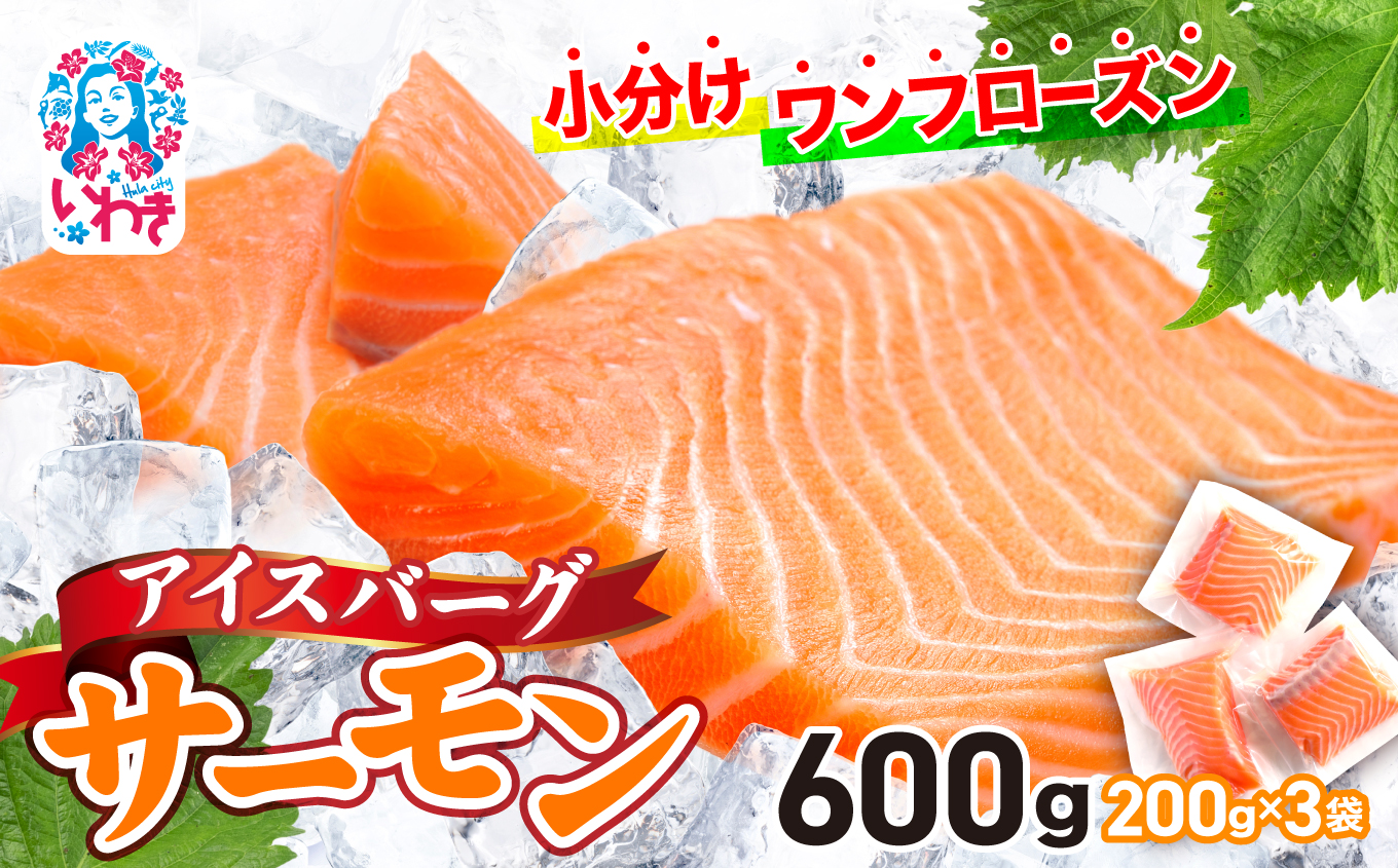 アイスバーグサーモン(アトランティックサーモン) 約600g(約200g×3袋) | サーモン ふるさと納税 サケ さけ しゃけ 刺し身 お刺身 個包装 さかな 魚介類 寿司 【DK006-600g】