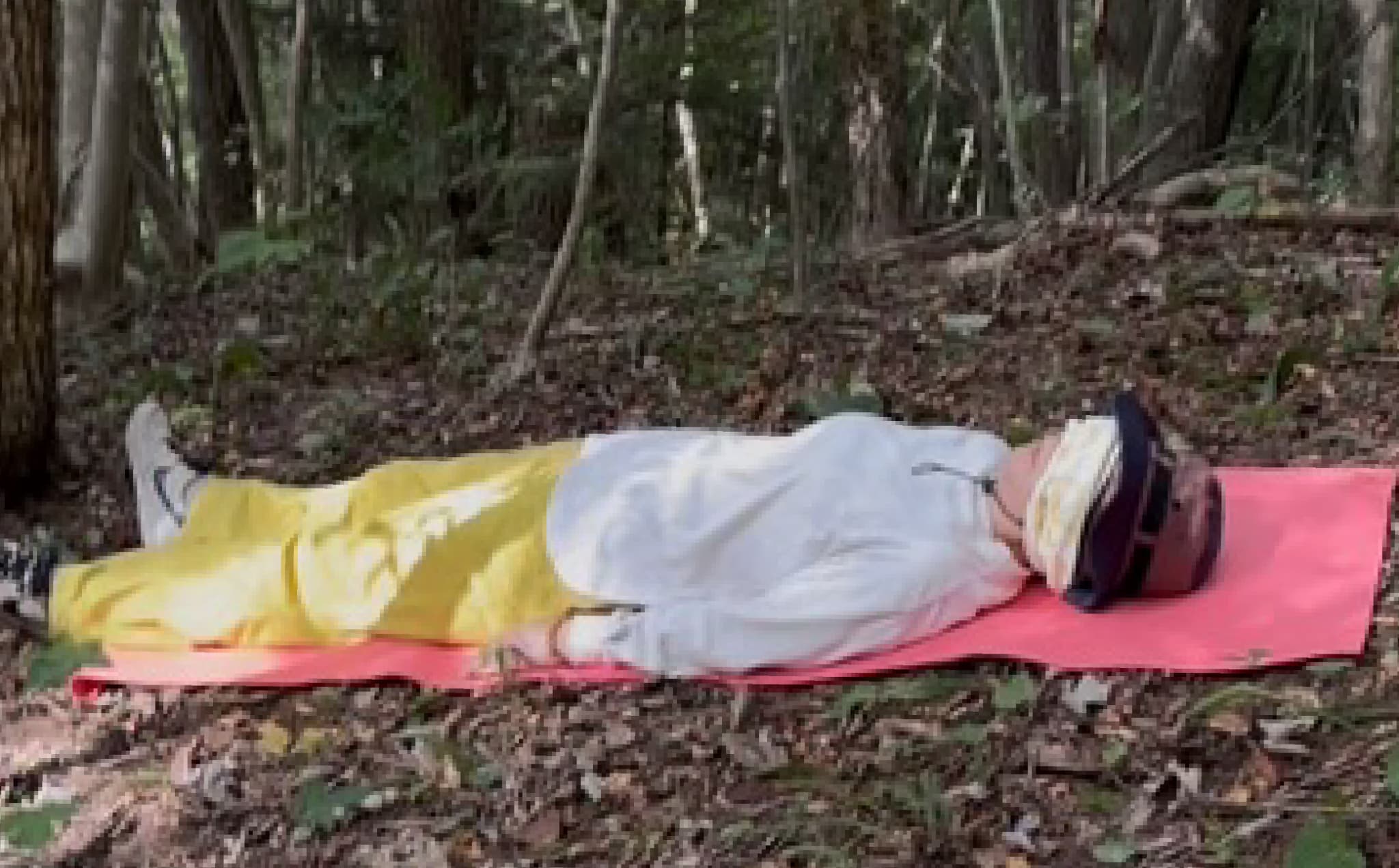 フォレストセラピー体験（森林浴×マインドフルネス瞑想体験）1回分 | フォレストセラピー 森林浴体験 マインドフルネス瞑想 自然と調和 静寂の時間 森の癒し 体験型返礼品 フィトンチッド マイナスイオン 深呼吸セラピー 自然の空気 心のデトックス | KM003