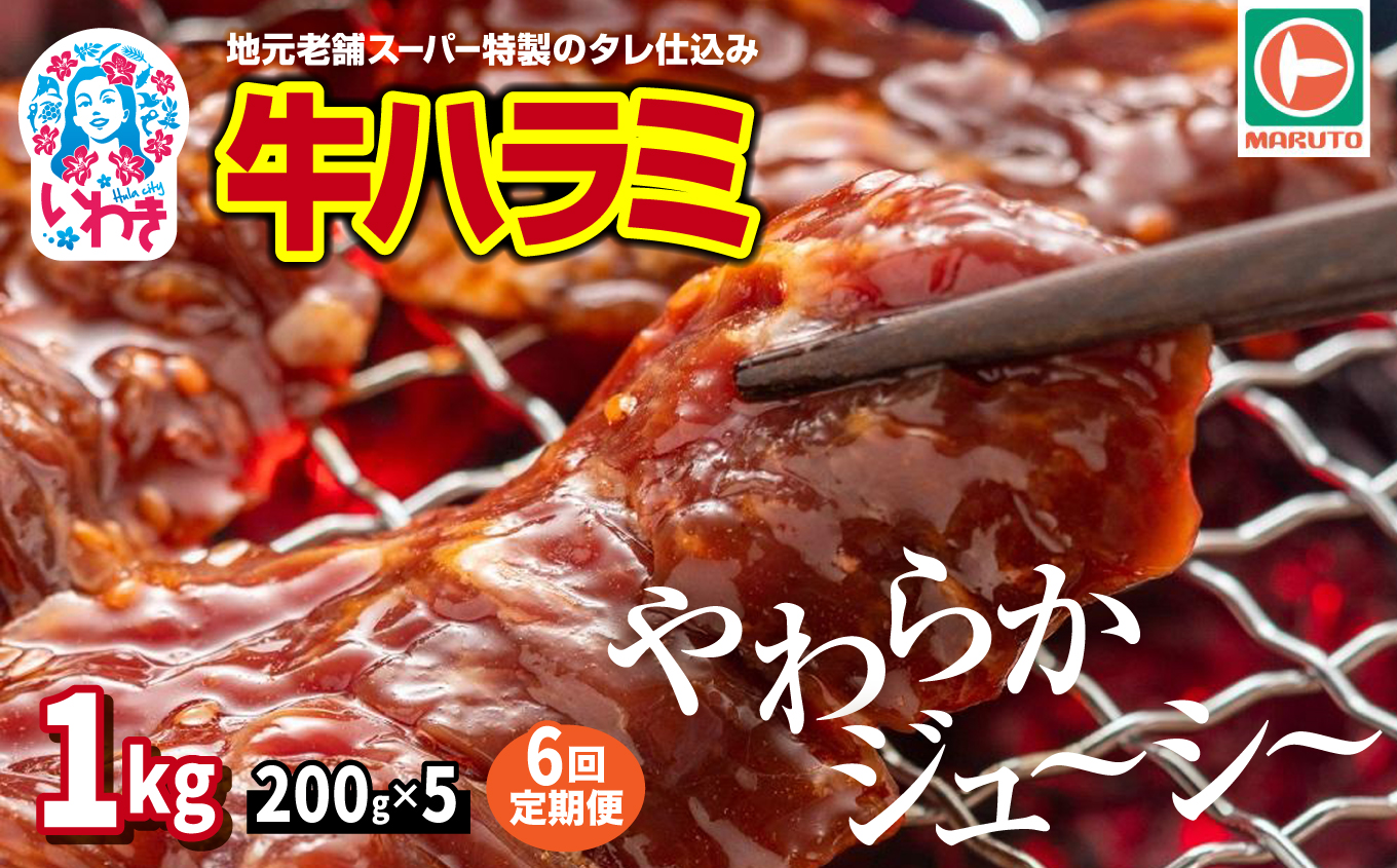 【定期便/計6回】味付き牛ハラミ　1kg(200g×5)　計6kg | 特製タレ 焼くだけ 手作業で加工 焼肉 お取り寄せ バーベキュー ふるさと納税はらみ ふるさと納税ハラミ 柔らかい やわらかい 父の日 | EQ040-1000g-t6