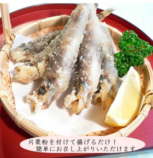 【魚屋の娘厳選】煮魚・焼魚・干物8点