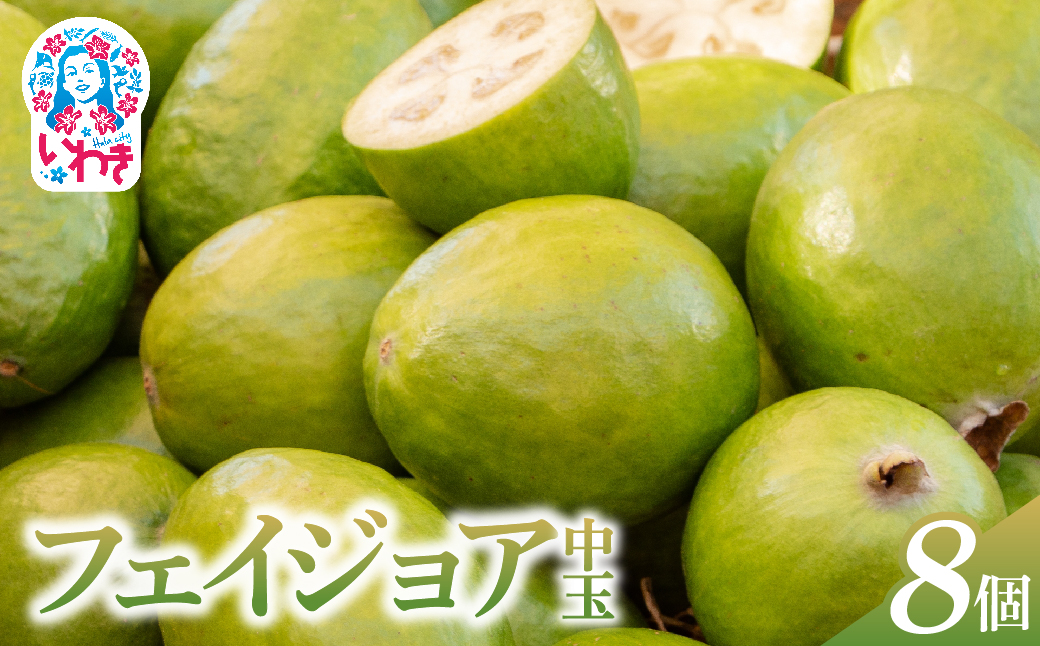 【先行予約】フェイジョア果実(中玉) 8個入り | フェイジョア 果実 中玉 8個入り ゆうゆうファーム 福島県 いわき市 国産 産地直送 希少フルーツ 南国果実 旬果 新鮮 お取り寄せ 高級フルーツ | YU006-8s