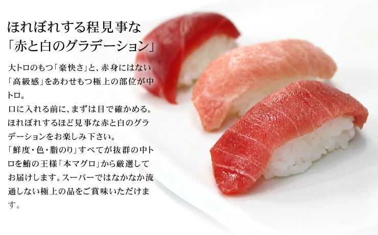 本マグロ大トロ中トロ赤身セット500g　解凍レシピ付　1サクずつ真空包装