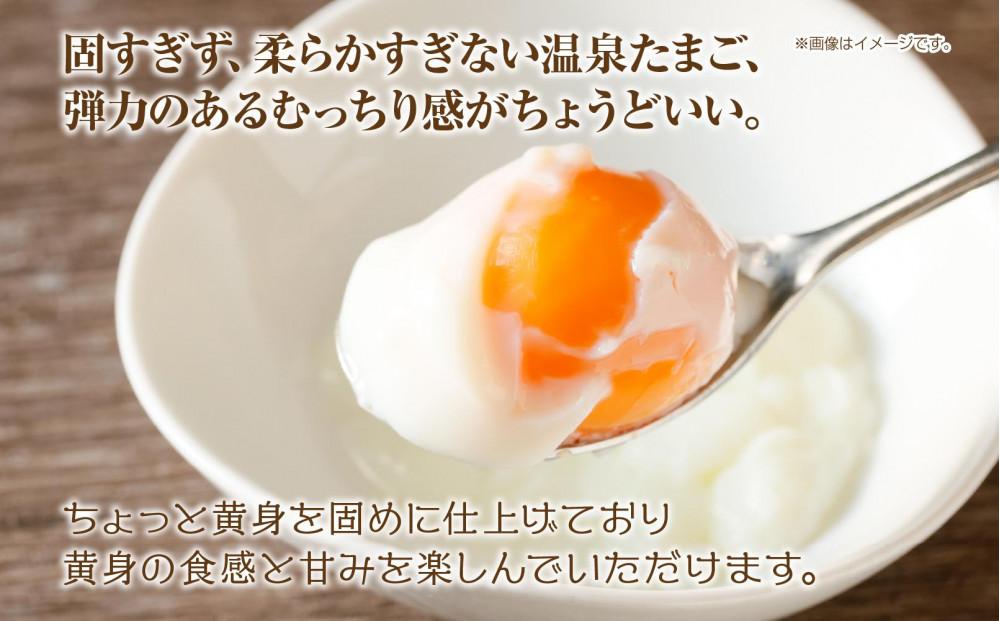 【無地熨斗・ギフト用】温泉たまご10個入り1パック「濃厚な黄身×とろける白身」鶏卵卸直送・新鮮卵