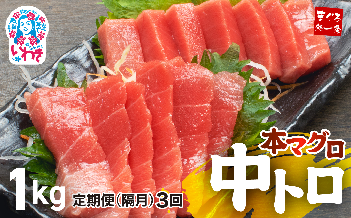 【定期便/隔月/計3回】本マグロ中トロ1kg（計3kg）【DG006-tk3】|いわき市 ふるさと納税 株式会社東日本貿易 鮪 本鮪 本まぐろ マグロ トロ とろ 刺し身 さしみ さかな 海鮮 寿司 解凍レシピ付