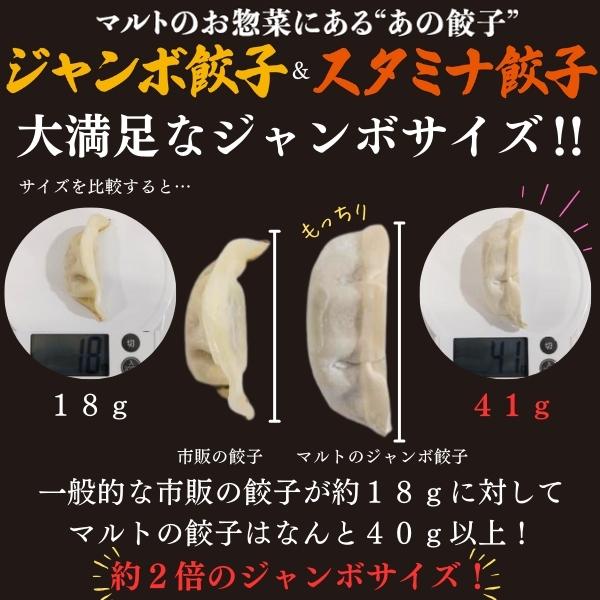 マルトオリジナル 冷凍ジャンボぎょうざ&冷凍スタミナぎょうざ 15個入×各種1袋（30個） | 福島 いわき マルトオリジナル ジャンボぎょうざ 冷凍餃子 パンチ系餃子 食べ応え モチモチ厚皮 旨味ぎっしり おうちごはん 冷凍ストック 家庭用 お取り寄せグルメ 点心 簡単調理 冷凍食品 | EQ042-mx