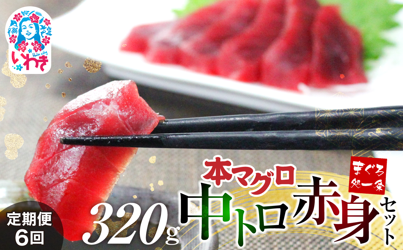 【定期便/計6回】本マグロ中トロ赤身セット320g（計1920g）【DG013-t6】|いわき市 ふるさと納税 株式会社東日本貿易 鮪 本鮪 本まぐろ マグロ 大トロ 大とろ トロ とろ 刺し身 さしみ さかな 海鮮 寿司 解凍レシピ付