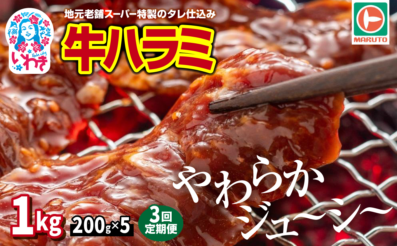 【定期便/計3回】味付き牛ハラミ　1kg(200g×5)　計3kg | 特製タレ 焼くだけ 手作業で加工 焼肉 お取り寄せ バーベキュー ふるさと納税はらみ ふるさと納税ハラミ 柔らかい やわらかい 父の日 | EQ040-1000g-t3