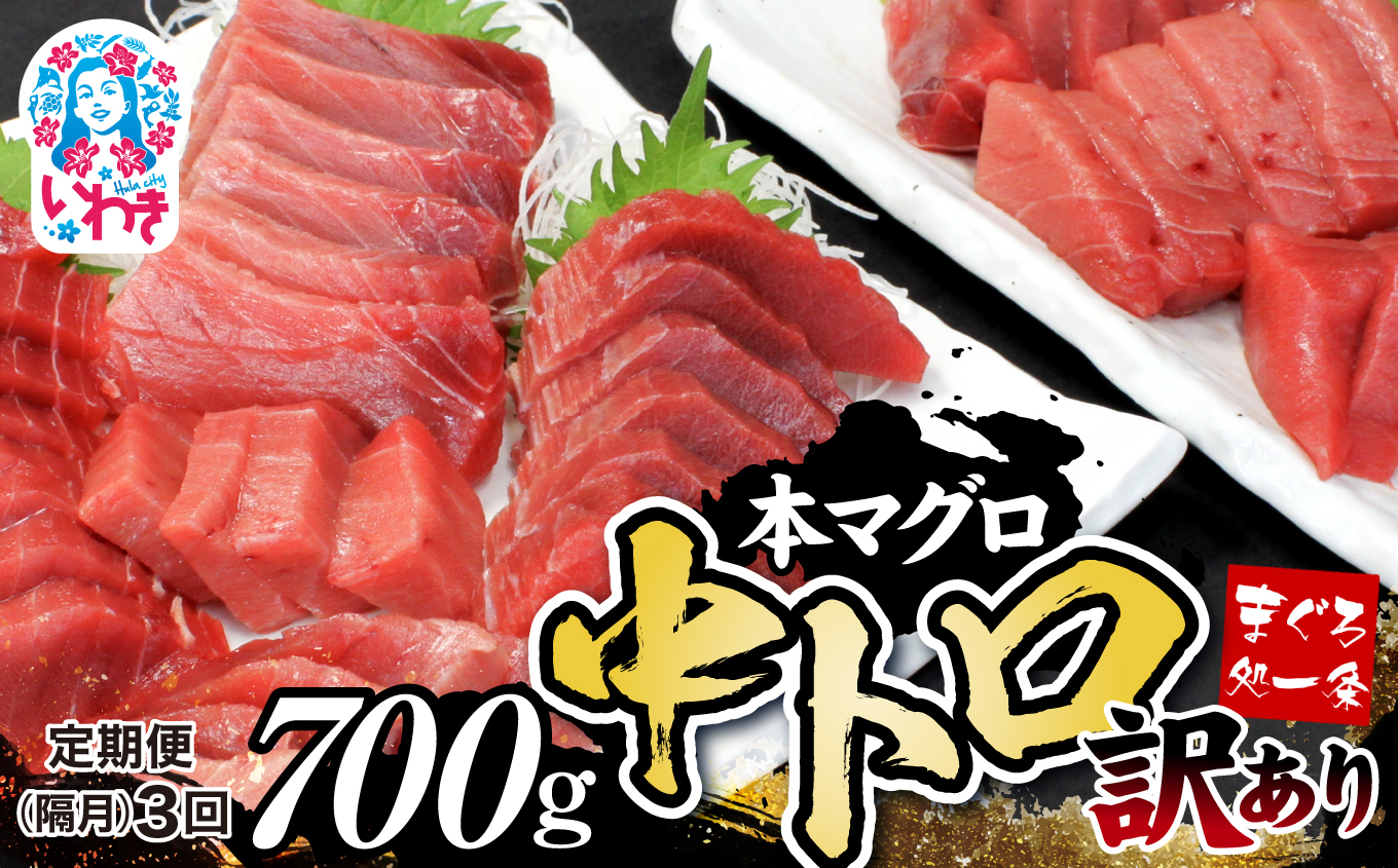 【定期便/隔月/計3回】本マグロ訳あり中トロ700g（計2.1kg）【DG008-tk3】|いわき市 ふるさと納税 株式会社東日本貿易 鮪 本鮪 本まぐろ マグロ トロ とろ 刺し身 さしみ さかな 海鮮 寿司 解凍レシピ付