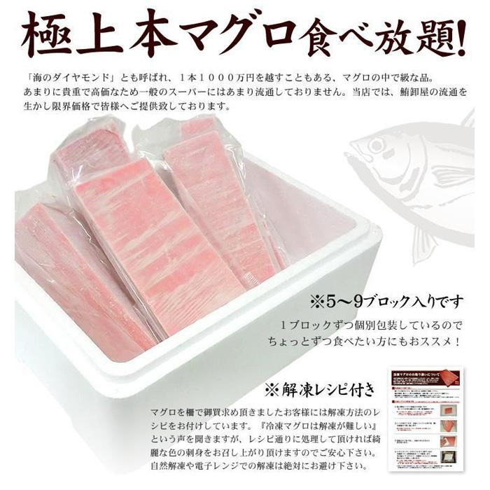 【単品】本マグロ赤身1kg　解凍レシピ付　1サクずつ真空包装【DG010】|いわき市 ふるさと納税 株式会社東日本貿易 鮪 本鮪 本まぐろ マグロ 刺し身 さしみ さかな 海鮮 寿司 解凍レシピ付