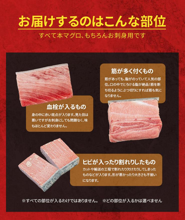 本マグロ訳あり中トロ700g！解凍レシピ付