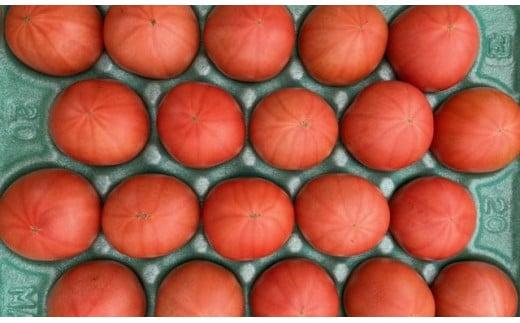 いわき市産大玉トマト「りんか」　4kg（18〜28玉）　大容量