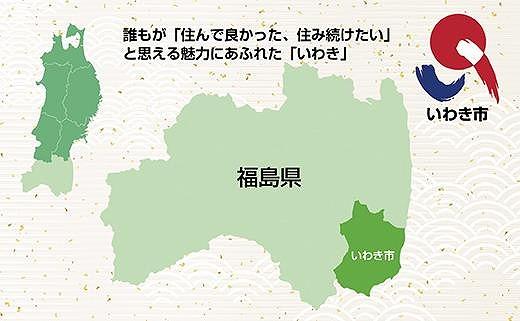 ギフト用【無地熨斗】【味付焼肉セット】焼肉専門店よりお届け　焼肉セット5〜6人前　食べ応え容量1kg