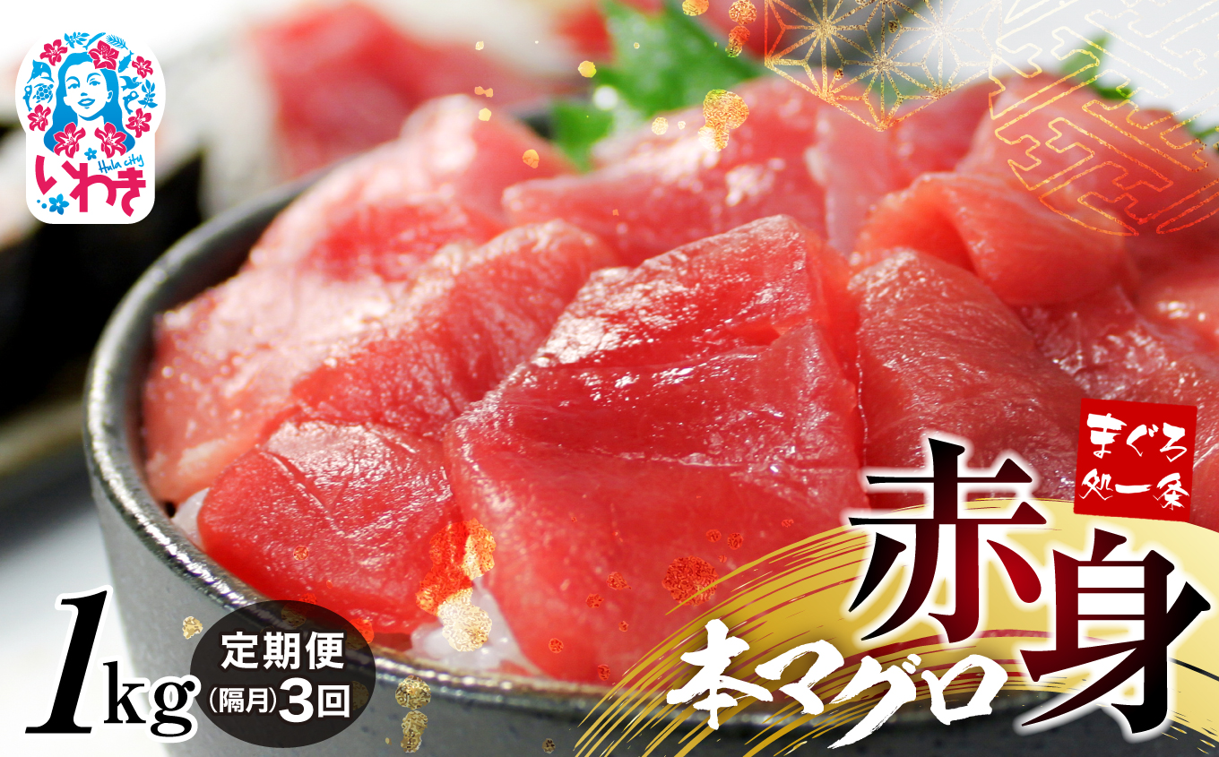 【定期便/隔月/計3回】本マグロ赤身1kg（3kg）【DG010-tk3】|いわき市 ふるさと納税 株式会社東日本貿易 鮪 本鮪 本まぐろ マグロ 刺し身 さしみ さかな 海鮮 寿司 解凍レシピ付