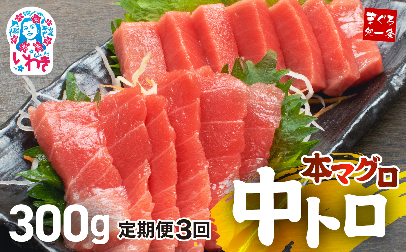 【定期便/計3回】本マグロ中トロ300g（計900g）【DG005-t3】|いわき市 ふるさと納税 株式会社東日本貿易 鮪 本鮪 本まぐろ マグロ トロ とろ 刺し身 さしみ さかな 海鮮 寿司 解凍レシピ付