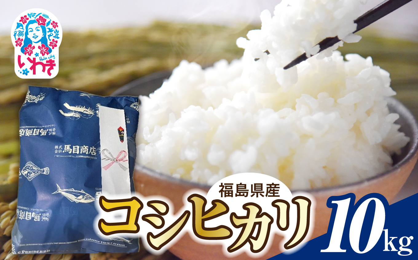 【令和7年度産】福島県産コシヒカリ 10kg | 福島県産 コシヒカリ 新米 令和7年産 順次発送 白米 単一原料米 粒揃い 甘み もちもち ふっくら つややか ごはん ギフト 精米 | BF038-10kg