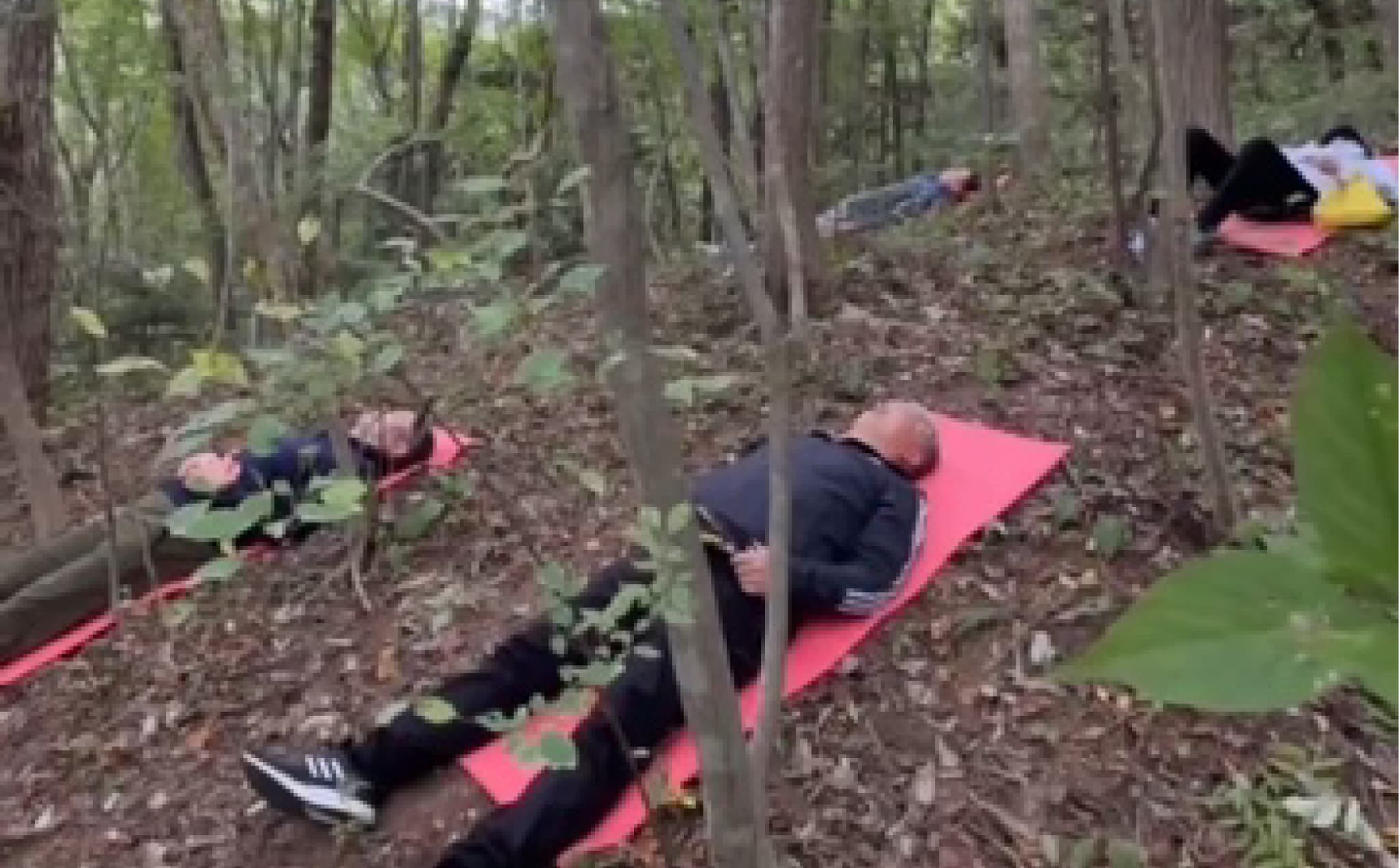 フォレストセラピー体験（森林浴×マインドフルネス瞑想体験）1回分 | フォレストセラピー 森林浴体験 マインドフルネス瞑想 自然と調和 静寂の時間 森の癒し 体験型返礼品 フィトンチッド マイナスイオン 深呼吸セラピー 自然の空気 心のデトックス | KM003