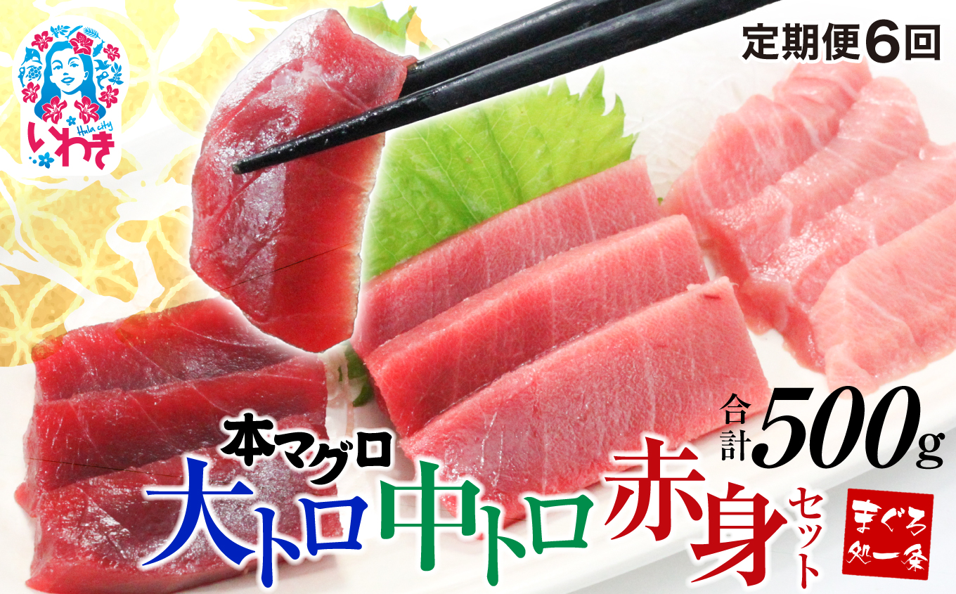 【定期便/計6回】本マグロ大トロ中トロ赤身セット500g（計3kg）【DG014-t6】|選べる 回数 定期便 解凍レシピ付 1サクずつ 真空包装 ｜ マグロ 鮪 まぐろ トロ 刺身 寿司