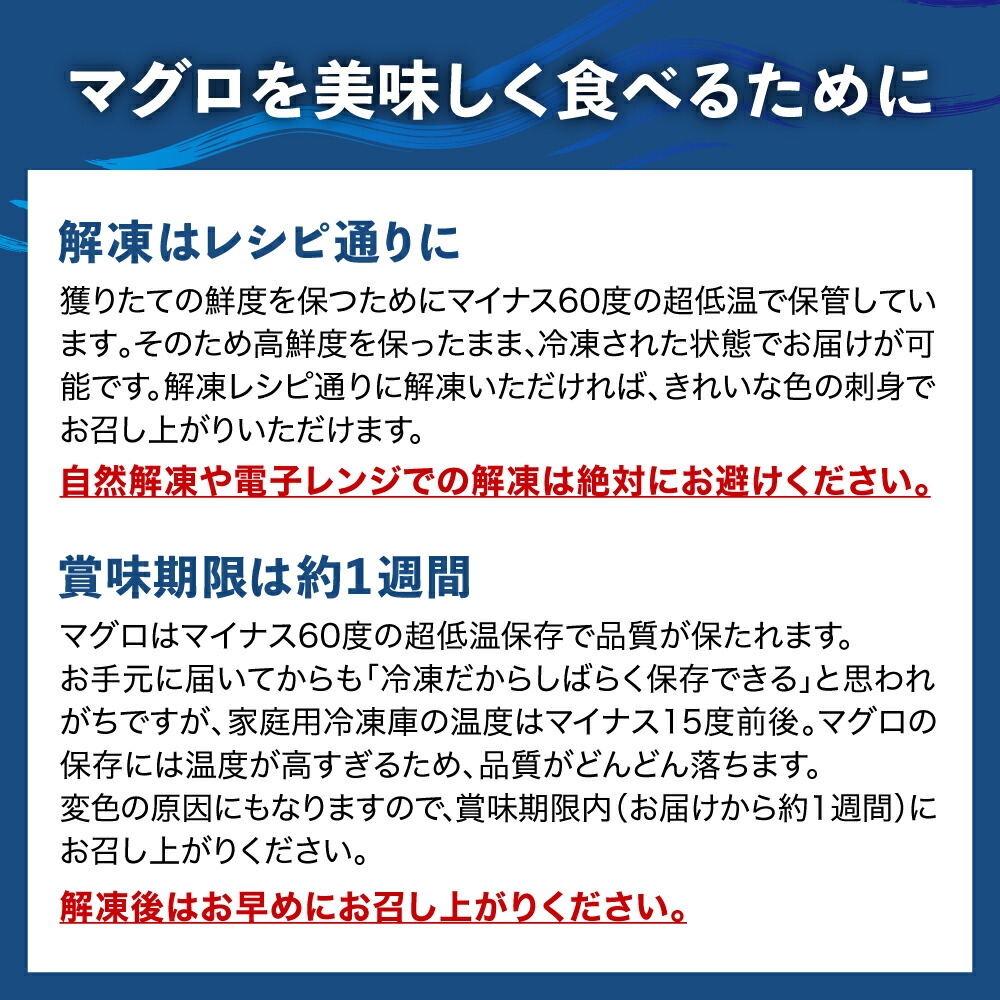 【定期便/計6回】本マグロ中トロ1kg（計6kg）【DG006-t6】|いわき市 ふるさと納税 株式会社東日本貿易 鮪 本鮪 本まぐろ マグロ トロ とろ 刺し身 さしみ さかな 海鮮 寿司 解凍レシピ付