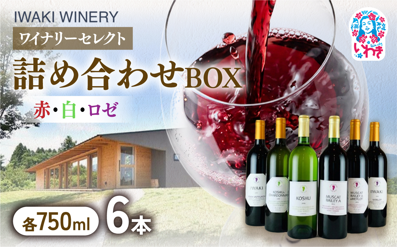 いわきワイナリー ぜいたくワイン詰め合わせボックス 750ml×6本 | ぜいたくワイン詰め合わせボックス いわき市 いわきワイナリー ワインセット 6本セット 日本ワイン 赤ワイン 白ワイン ロゼワイン 飲み比べ 自社農園ぶどう 国産ぶどう ワイナリー醸造 樽熟成 果実酒 詰め合わせ おまかせワイン セレクトワイン ワイン6本セット | CR005