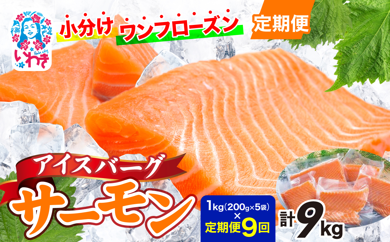 〈定期便9回〉アイスバーグサーモン（アトランティックサーモン）　約1kg（約200g×5袋） | アイスバーグサーモン アトランティックサーモン 産地直送 冷凍 お取り寄せ サーモン 切り身 北欧 ノルウェー 高たんぱく オメガ3 健康志向 | DK006-t9