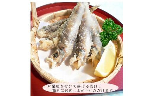 【魚屋の娘厳選】煮魚・焼魚・干物8点