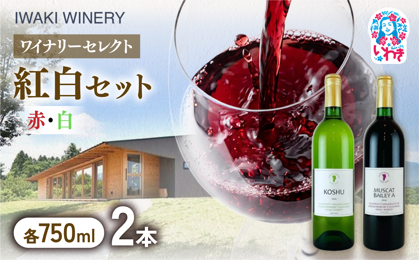 いわきワイナリー 紅白セット 750ml×2本 | いわきワイナリー 紅白セット ワインセット いわき市 いわきワイナリー 日本ワイン 国産ワイン 赤ワイン 白ワイン ワイン 飲み比べ ワイナリー醸造 ぶどう使用 国産ぶどう 果実酒 おまかせワイン 2本セット いわき産ぶどう | CR003