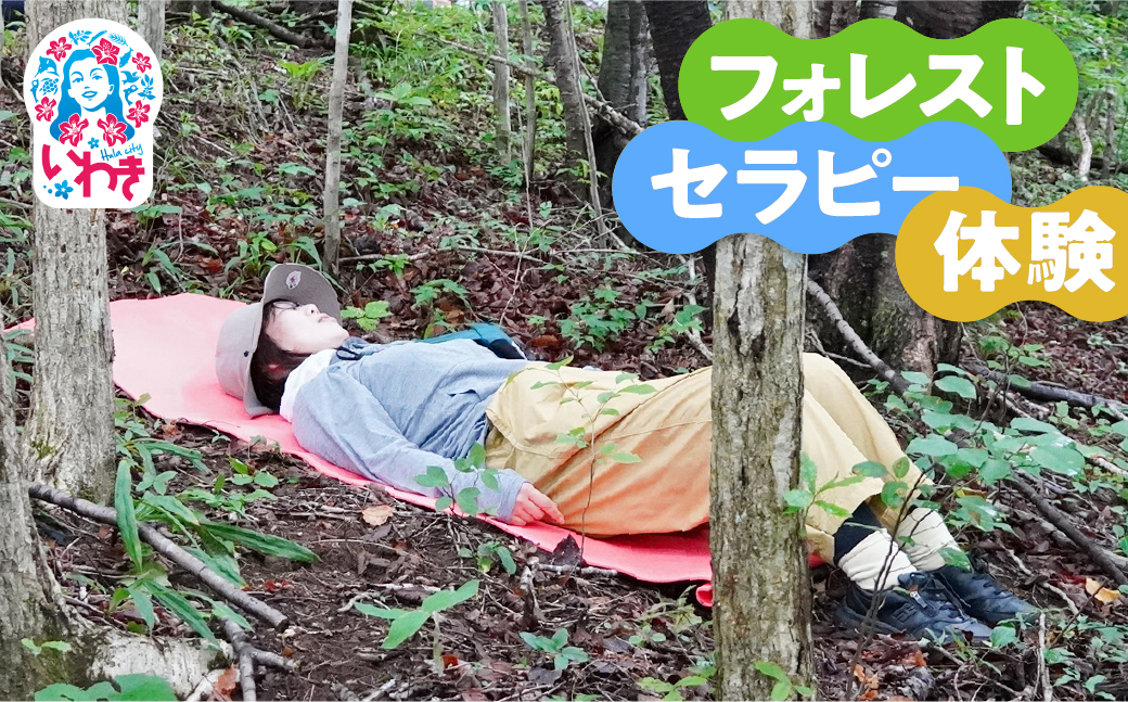 フォレストセラピー体験（森林浴×マインドフルネス瞑想体験）1回分 | フォレストセラピー 森林浴体験 マインドフルネス瞑想 自然と調和 静寂の時間 森の癒し 体験型返礼品 フィトンチッド マイナスイオン 深呼吸セラピー 自然の空気 心のデトックス | KM003