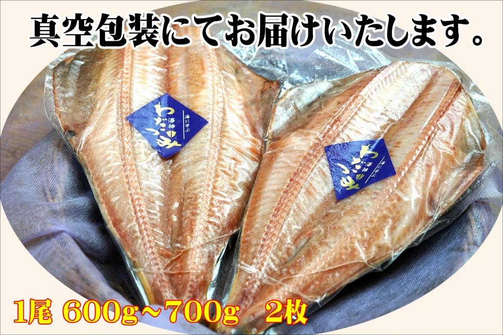 干物　シマホッケ　約1.2kg～1.4kg（600g～700ｇ×2パック）