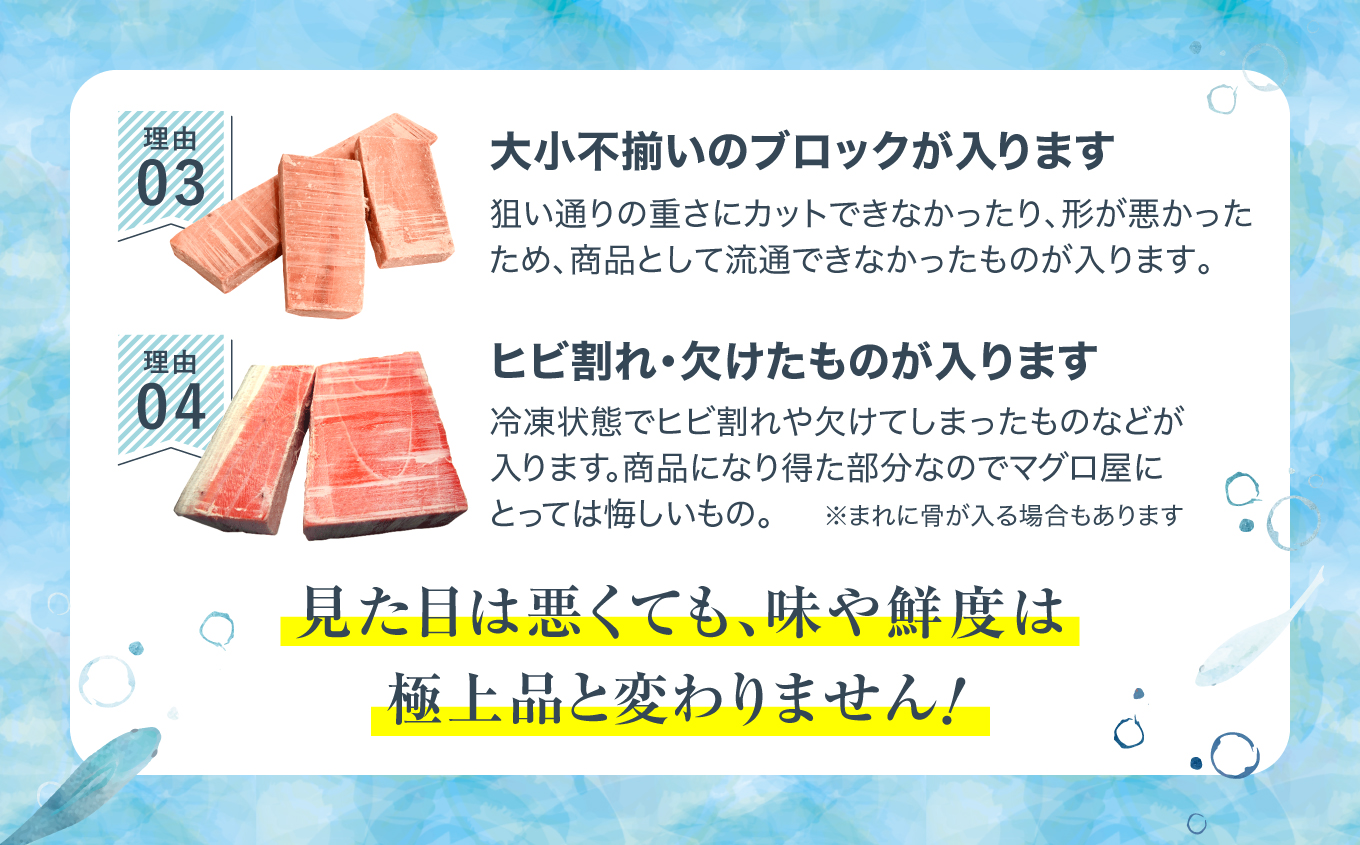 【定期便/計3回】本マグロ訳あり中トロ700g（計2.1kg）【DG008-t3】|いわき市 ふるさと納税 株式会社東日本貿易 鮪 本鮪 本まぐろ マグロ トロ とろ 刺し身 さしみ さかな 海鮮 寿司 解凍レシピ付