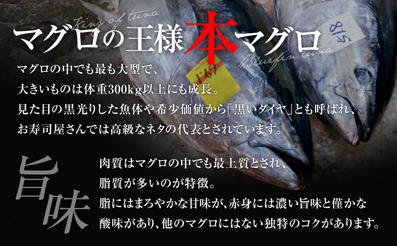 【定期便10回】高級マグロ・極上フルコース | いわき市 ふるさと納税 株式会社東日本貿易 鮪 本鮪 本まぐろ マグロ 刺し身 さしみ さかな 海鮮 寿司 解凍レシピ付 定期便10回 本鮪 大トロ 中トロ 赤身 三種 食べ比べ プレミアムコース ギフト 贈答用 お取り寄せ 冷凍 セット 送料無料 | DG033-t10