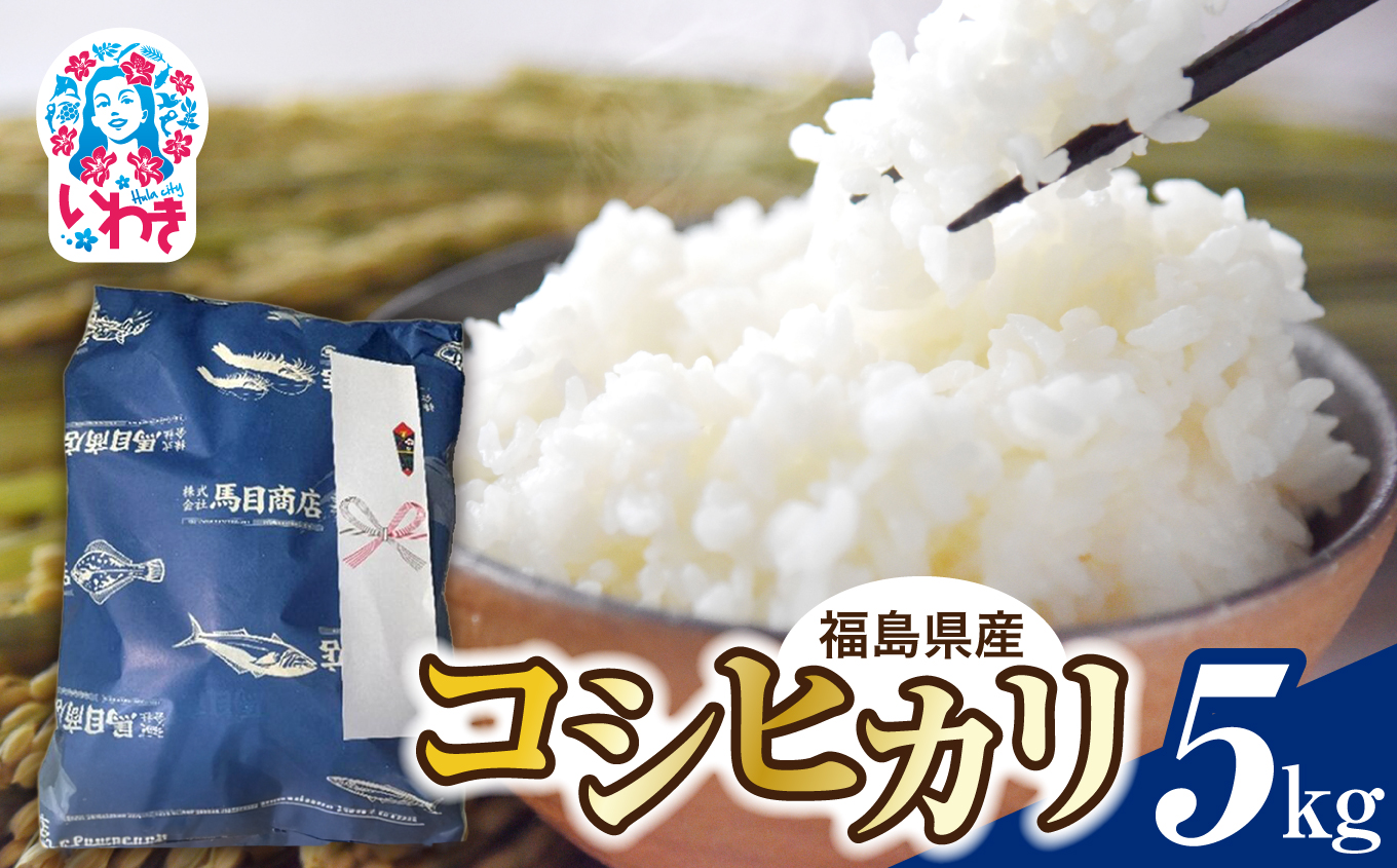 【令和7年度産 】福島県産コシヒカリ 5kg | 福島県産 コシヒカリ  令和7年産 順次発送 白米 単一原料米 粒揃い 甘み もちもち ふっくら つややか ごはん ギフト 精米 | BF038