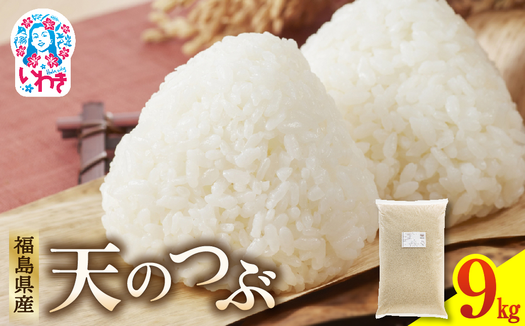 福島県産天のつぶ9kg×1袋 | 福島県産 米 精米 食味ランキング 産地直送 ふるさと納税 返礼品 送料無料 ブランド米 日本米 東北米 つや 旨味 甘み 香り 粘り コシ もちもち 天のつぶ R7年産 | FU006-9kg