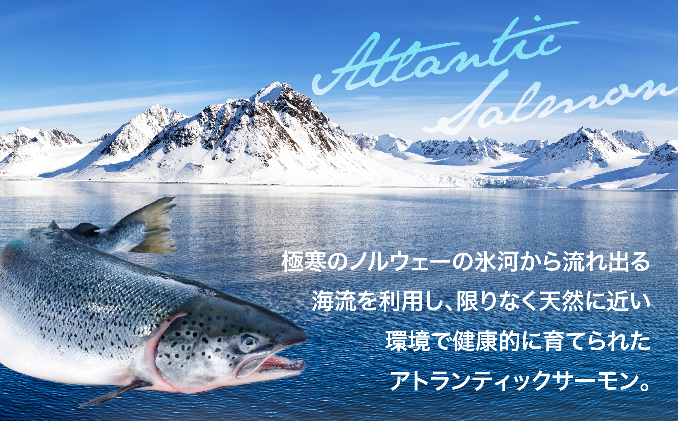 ã¢ã€ã¹ããŒã°ãµãŒã¢ã³ïŒã¢ãã©ã³ãã£ãã¯ãµãŒã¢ã³ïŒãçŽ1kgïŒçŽ200gÃ5è¢ïŒ| ã¢ã€ã¹ããŒã°ãµãŒã¢ã³ ã¢ãã©ã³ãã£ãã¯ãµãŒã¢ã³ ç£å°çŽé å·å ãåãå¯ã ãµãŒã¢ã³ åã身 忬§ ãã«ãŠã§ãŒ ãªã¡ã¬3 é«ããã±ã å¥åº·å¿å | DK006