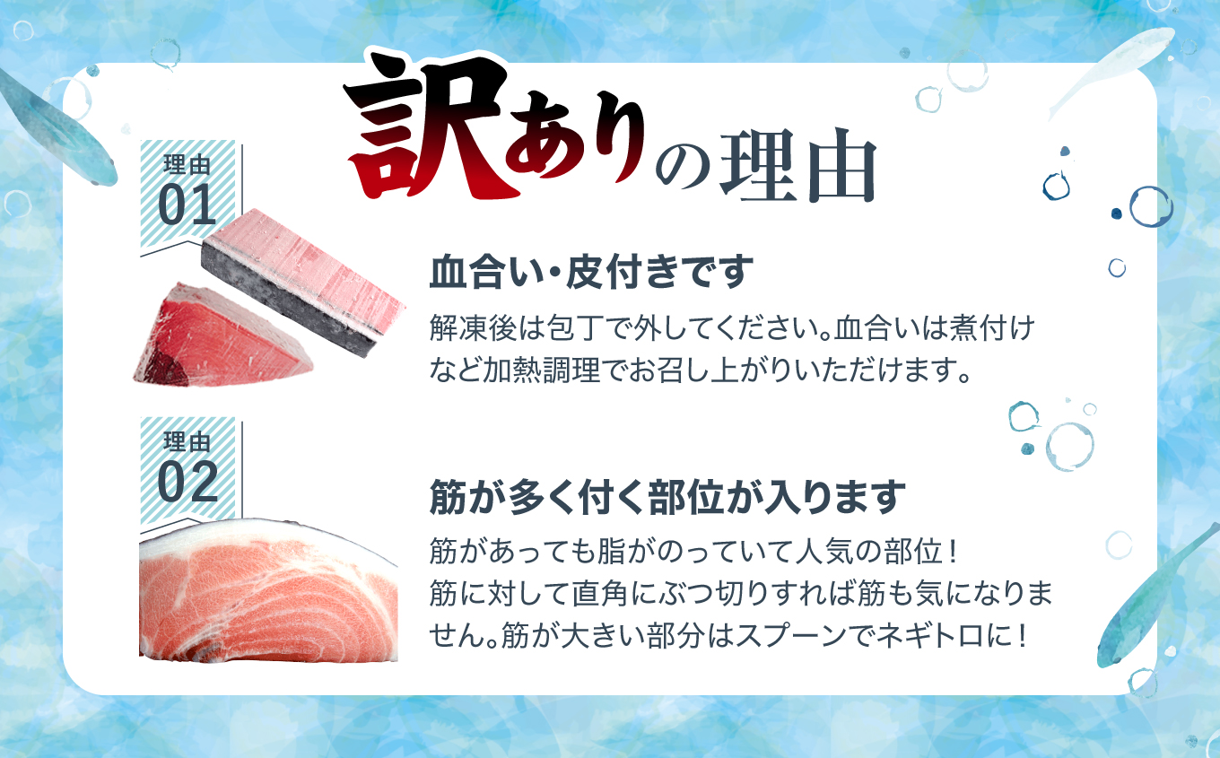 【定期便/計3回】本マグロ訳あり中トロ700g（計2.1kg）【DG008-t3】|いわき市 ふるさと納税 株式会社東日本貿易 鮪 本鮪 本まぐろ マグロ トロ とろ 刺し身 さしみ さかな 海鮮 寿司 解凍レシピ付