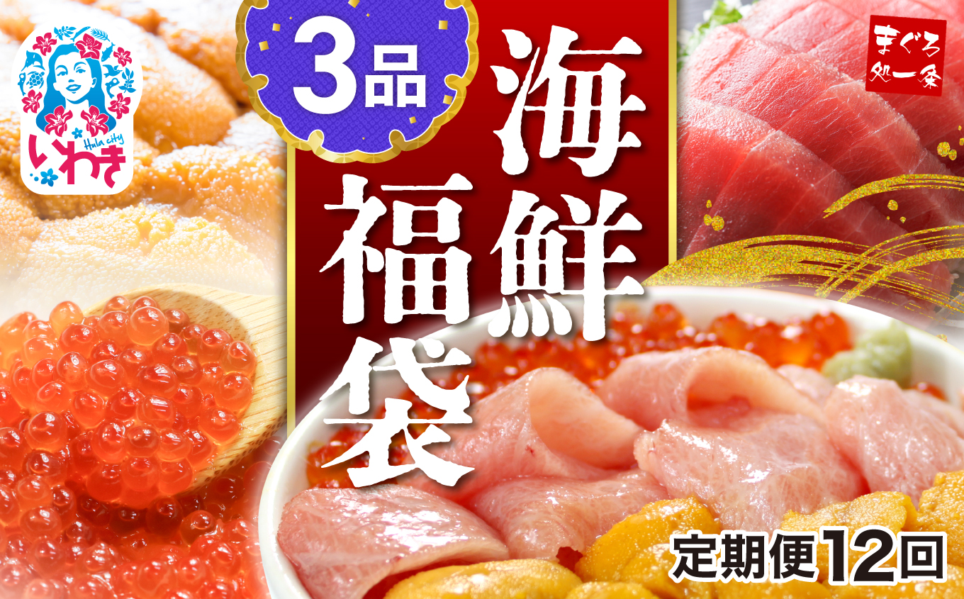 【定期便/計12回】海鮮3品セット【DG001-t12】|本マグロ 大トロ ウニ イクラ 醤油漬け まぐろ解凍レシピ付き 手巻き寿司 約2〜3人前 海鮮セット