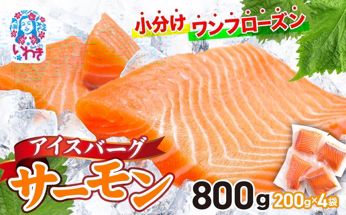 アイスバーグサーモン（アトランティックサーモン）800g | サーモン ふるさと納税 サケ さけ しゃけ 刺し身 お刺身 個包装 さかな 魚介類 寿司 【DK006-800g】