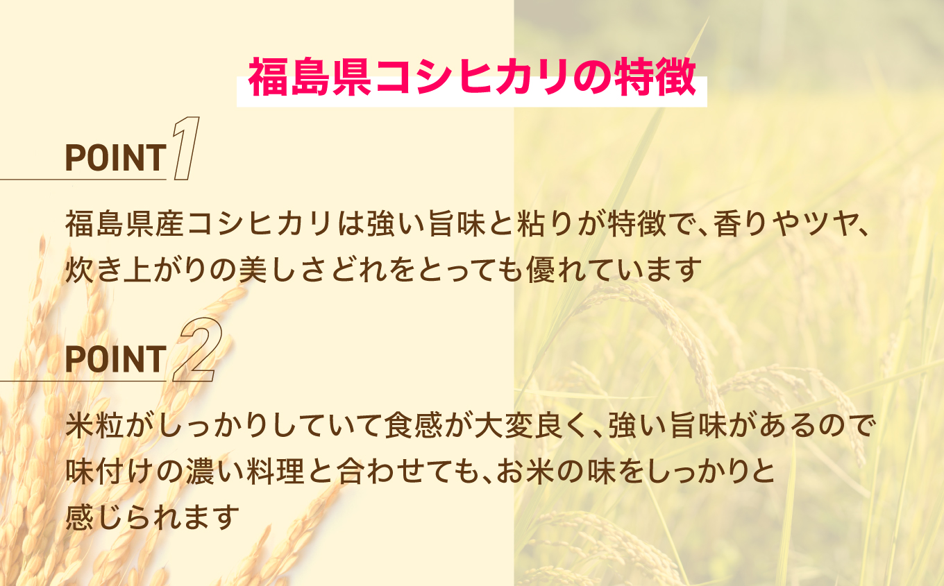 Iwaki Laiki いわき産コシヒカリ5kg（5kg×1袋） | IwakiLaiki いわき産 コシヒカリ 5kg  産地直送 ブランド米 上白米 一等米 ミネラル豊富 日照 旨み ふっくら ねばり 甘み 食感 ギフト 贈答用 白米 精米 送料無料 お米 こめ 人気 | FU004-5kg-r7