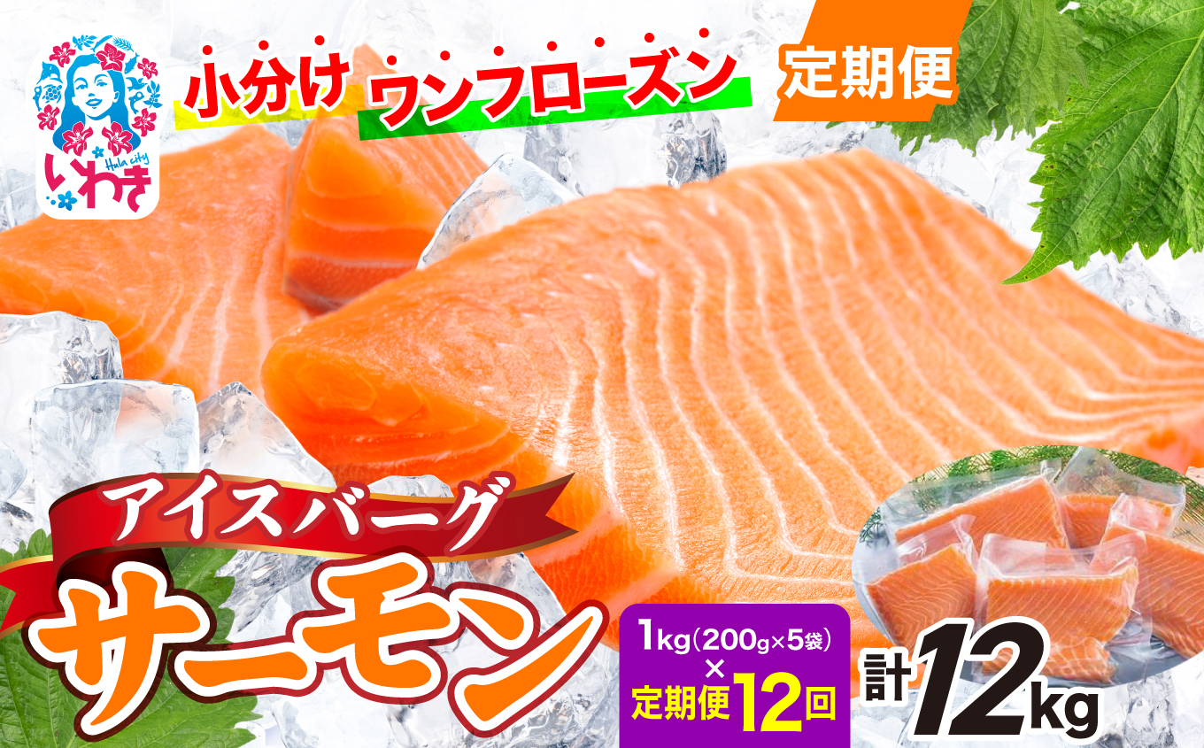 〈定期便12回〉アイスバーグサーモン（アトランティックサーモン）　約1kg（約200g×5袋） | アイスバーグサーモン アトランティックサーモン 産地直送 冷凍 お取り寄せ サーモン 切り身 北欧 ノルウェー 高たんぱく オメガ3 健康志向 | DK006-t12