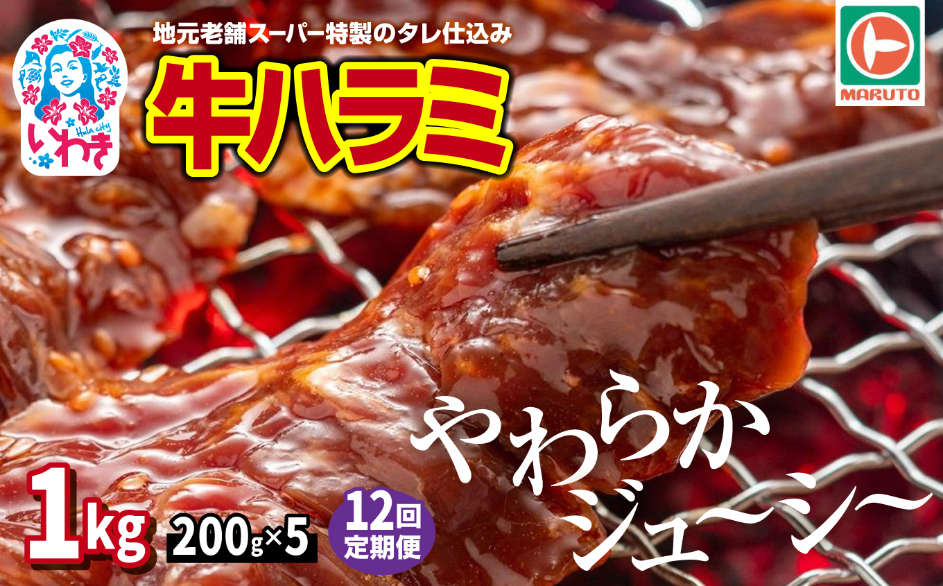 【定期便/計12回】味付き牛ハラミ　1kg(200g×5)　計12kg | 特製タレ 焼くだけ 手作業で加工 焼肉 お取り寄せ バーベキュー ふるさと納税はらみ ふるさと納税ハラミ 柔らかい やわらかい 父の日 | EQ040-1000g-t12