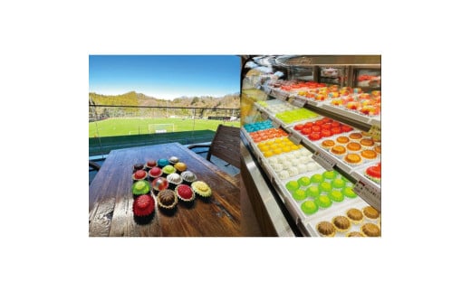 ãŒãªãŒã®ã€ãš ãã³ã¬ãŒã·ã§ã³ã¢ã¢ãªãã | ã«ã©ãã« èå ããã ã¹ã€ãŒã ãã¶ãŒã é£å äººæ° ãããã | ZR002