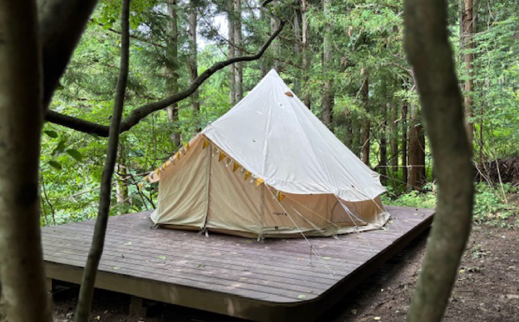 縺薙ウ縺ィ縺ョ譽ョ閾ェ辟カ謗「讀懊≠縺昴ウ縲蟆丞ュヲ逕1蜷堺ス馴ィ捺ィゥ | 閾ェ辟カ菴馴ィ 繧「繧ヲ繝医ラ繧「菴馴ィ灘梛 繝輔ぃ繝溘Μ繝シ蜷代¢ 蟄舌←繧ょ帝匱 譽ョ縺ョ謗「讀 繝輔ぃ繝ウ繧ソ繧ク繝シ菴馴ィ 繝阪う繝√Ε繝シ繧イ繝シ繝 縺薙ウ縺ィ縺ョ螳カ 遘伜ッ縺ョ螳晉ョア 遶・隧ア縺ョ荳也阜 閾ェ辟カ蟄ヲ鄙 髱樊律蟶ク菴馴ィ 荳ク螟ェ霆「縺後@ 蟆丞菴馴ィ 譽ョ縺ョ蠖ケ蜑イ 菴馴ィ薙ぐ繝輔ヨ | KM001