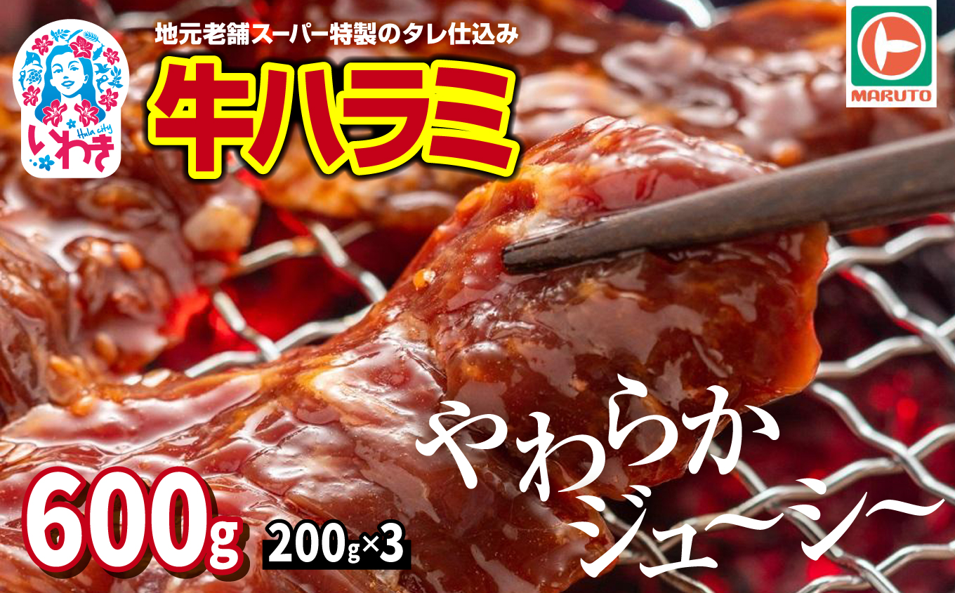 味付き牛ハラミ　600g(200g×3) | 特製タレ 焼くだけ 手作業で加工 焼肉 お取り寄せ バーベキュー ふるさと納税はらみ ふるさと納税ハラミ 柔らかい やわらかい 父の日 | EQ033-600g