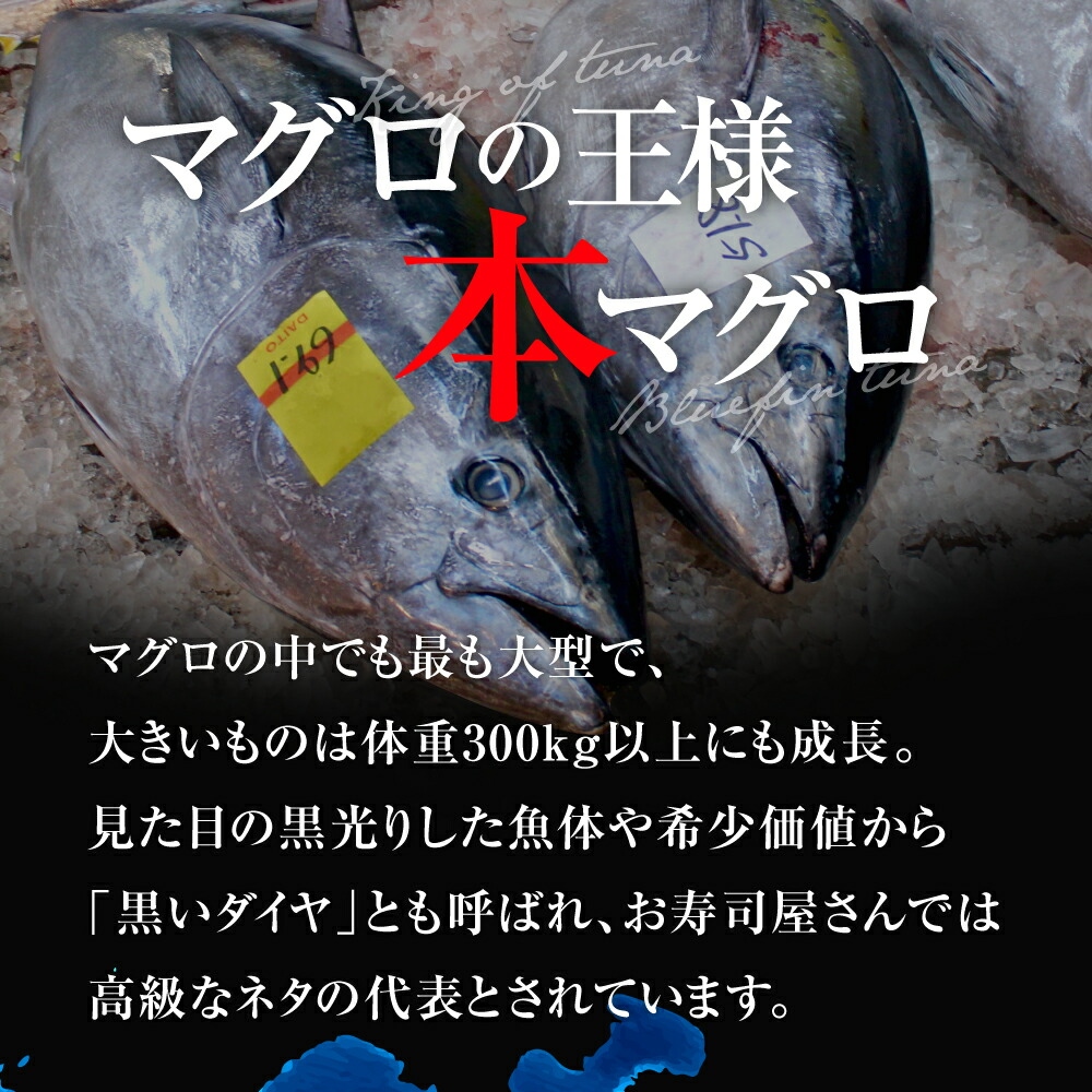 【定期便/計6回】本マグロ中トロ1kg（計6kg）【DG006-t6】|いわき市 ふるさと納税 株式会社東日本貿易 鮪 本鮪 本まぐろ マグロ トロ とろ 刺し身 さしみ さかな 海鮮 寿司 解凍レシピ付